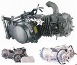 detail produktu .. - Pitbike motor YX 140 cc se závodní vačkou